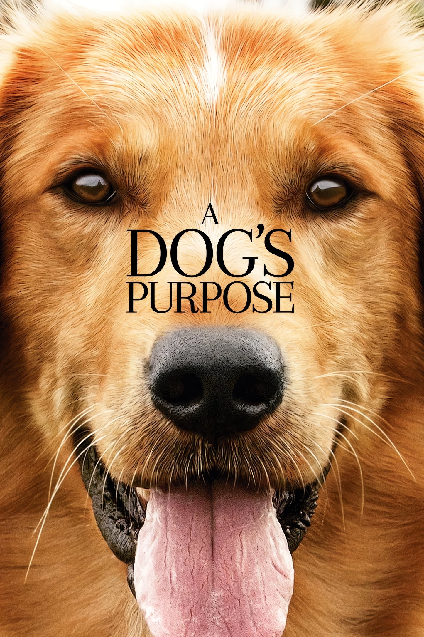 A Dog S Purpose (2017)