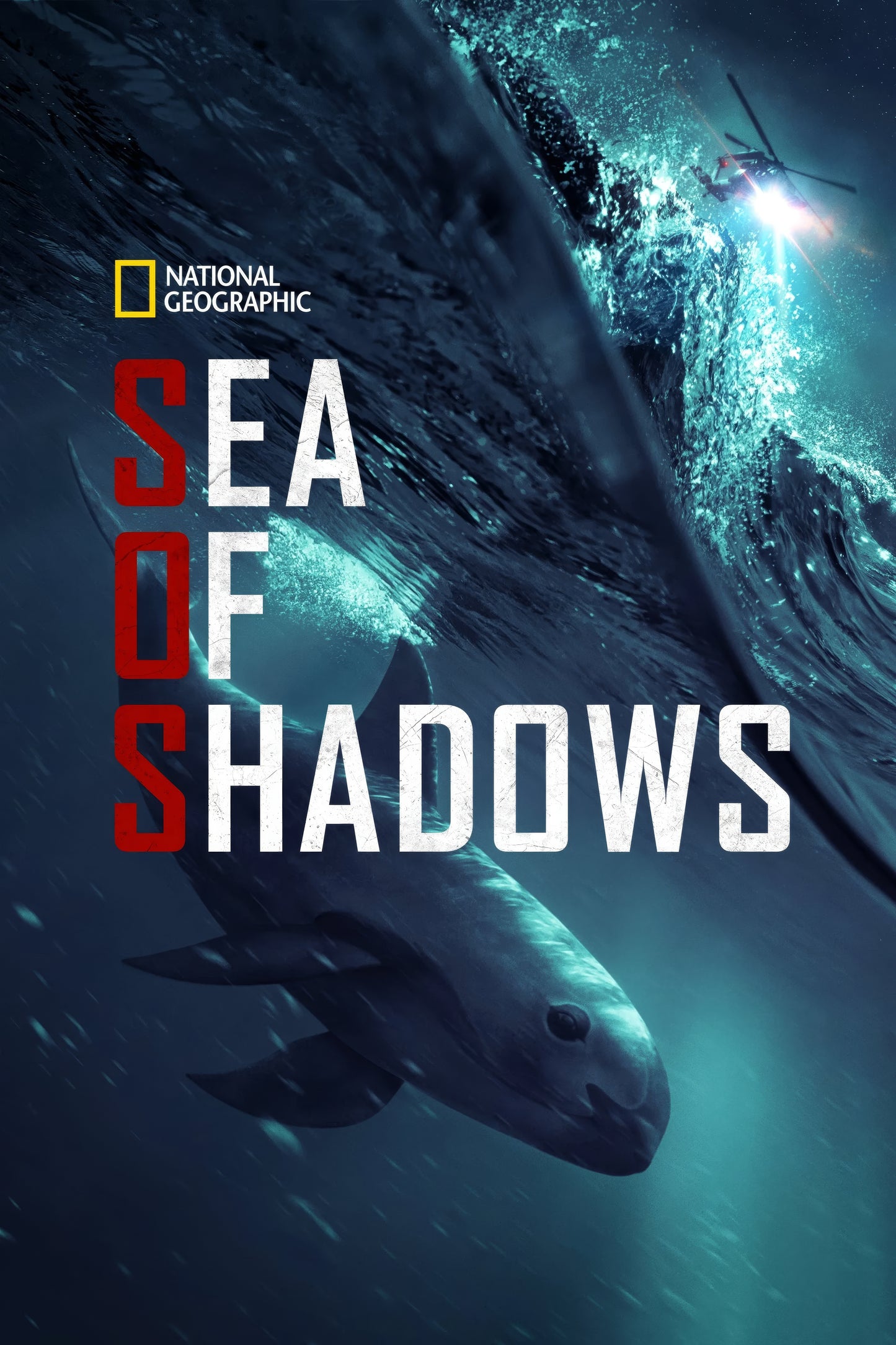 Sea Of Shadows (2019)