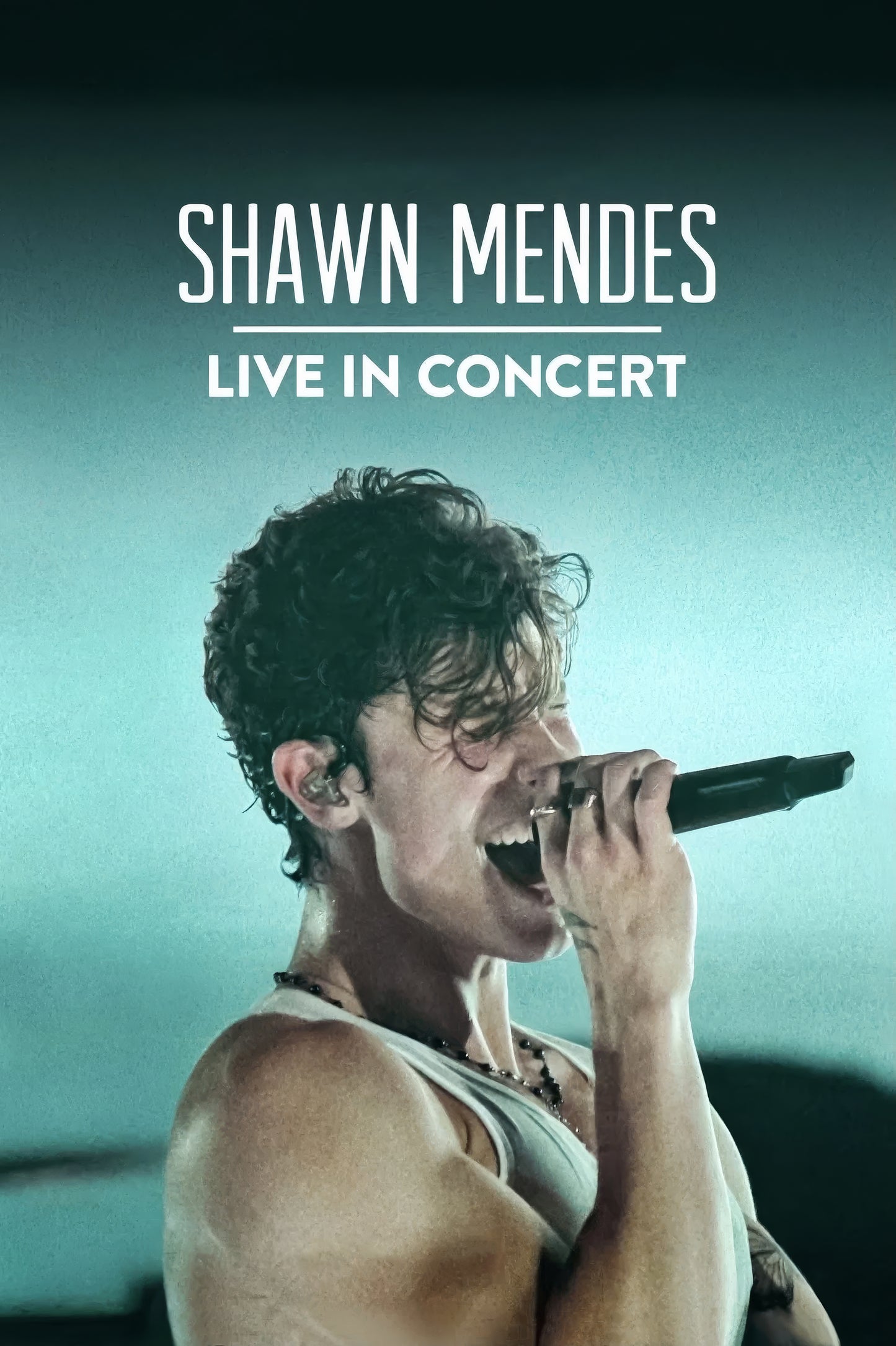 Shawn Mendes Live In Concert (2020)