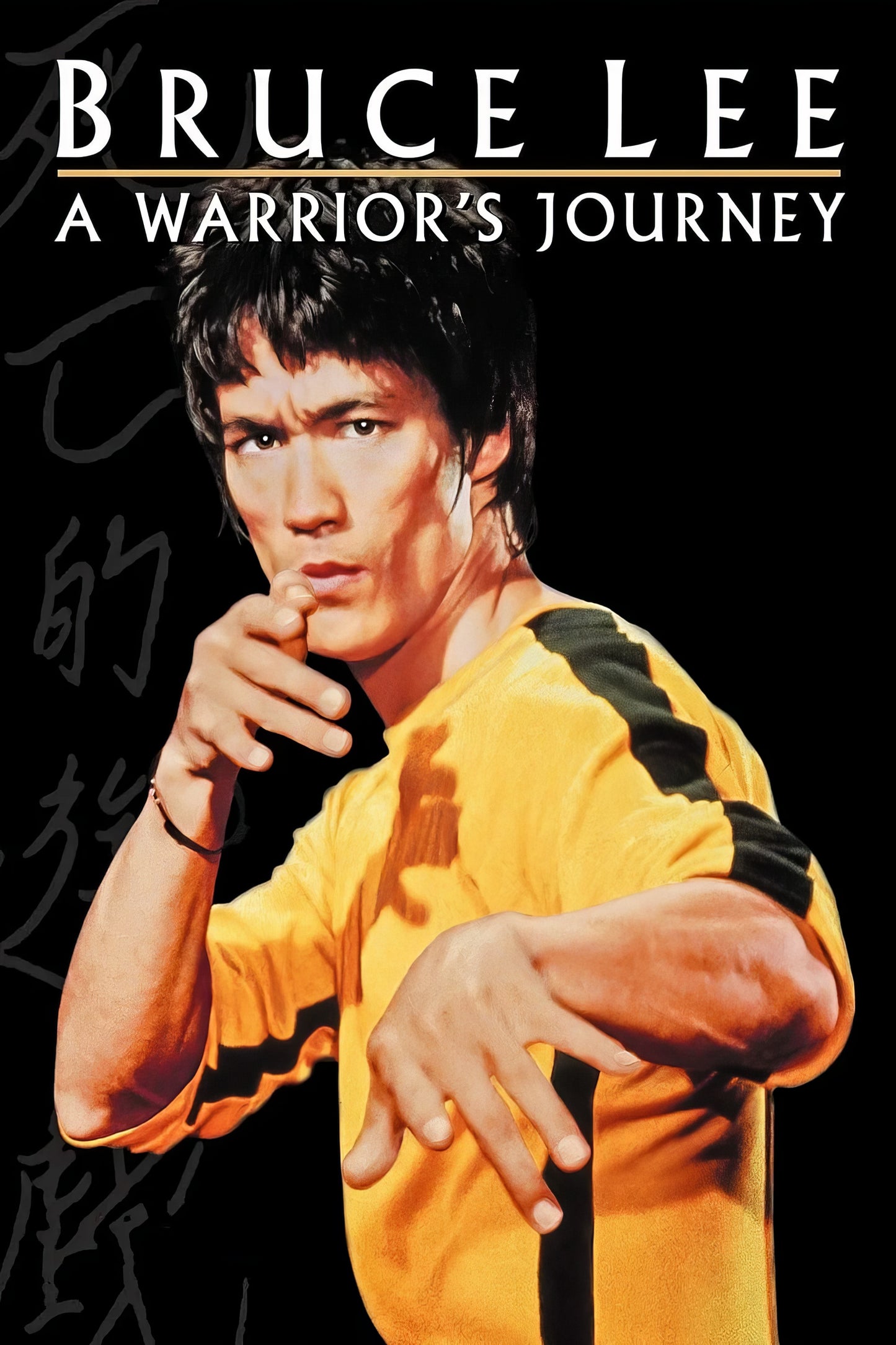 Bruce Lee A Warrior S Journey (2000)